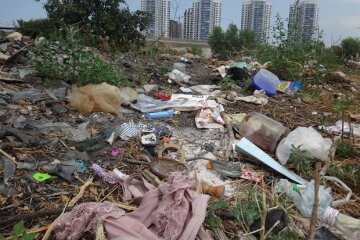 Як очистити 10 тис. га української землі, заваленої сміттям?