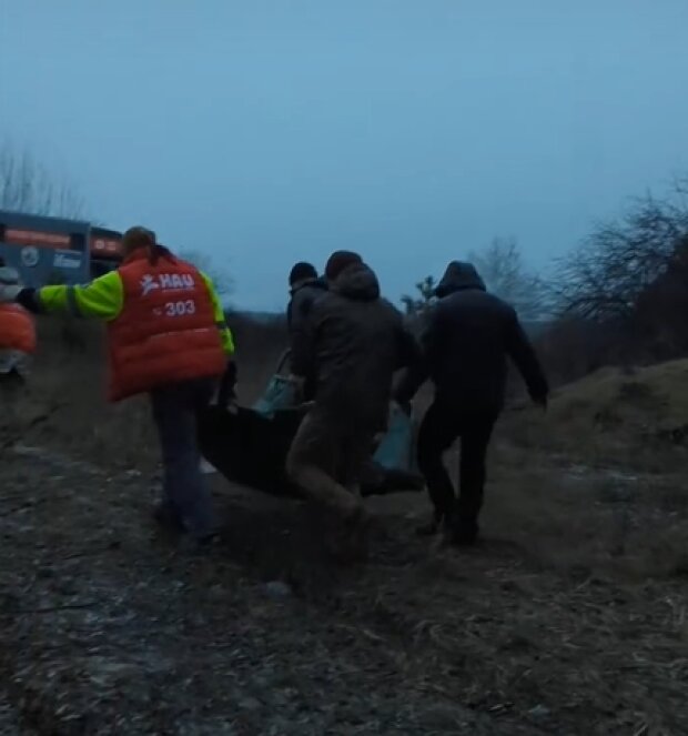 У Київській області від вибуху міни загинув лось