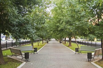 Оновлену Програму розвитку зелених зон Києва представлять у жовтні