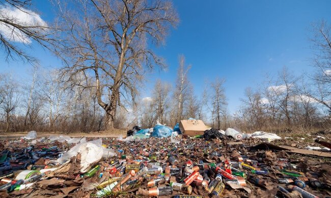 З пляжу Троєщини прибрали кладовище відпрацьованих батарейок