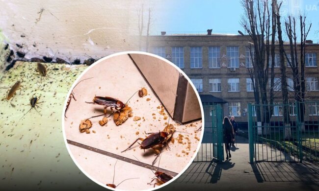 Скандал у ліцеї Києва – працівники ледве не потруїли дітей