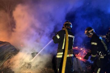 В останній день літа ДСНС Київщини ліквідували 31 пожежу в природних екосистемах області