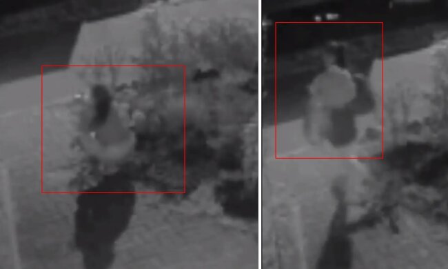 У Києві камера зафіксувала жінку, яка вночі викопала квіти біля книгарні