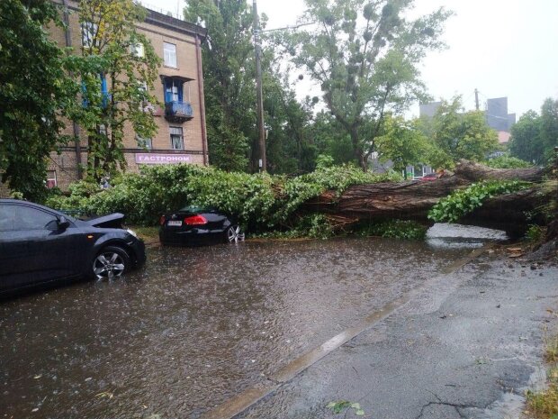 Шквал в Києві повалив кілька великих дерев і підтопив вулиці (фото, відео)