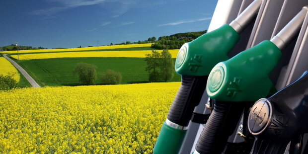 Україна може стати провідним виробником біодизелю: що для цього потрібно