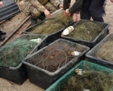 Дорога риболовля: на Київщині сіткарі наловили штрафів на понад 200 тисяч гривень