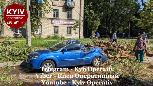 Масовий деревопад під час негоди: на вулицях Києва стоять розтрощені автівки (фото, відео)