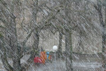 Киян попереджають про штормовий вітер та опади