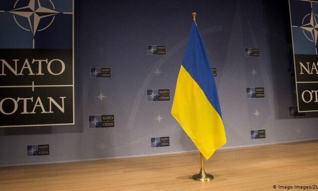 У НАТО пообіцяли дати Україні План дій щодо членства