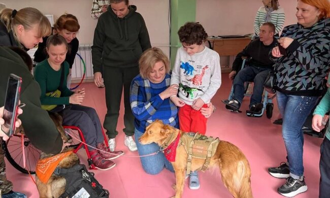 У столиці для діток з інвалідністю проводяться сеанси каністерапії — лікування за допомогою собак