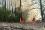 На Київщині знов підпалили траву: палія схопили на гарячому (відео)