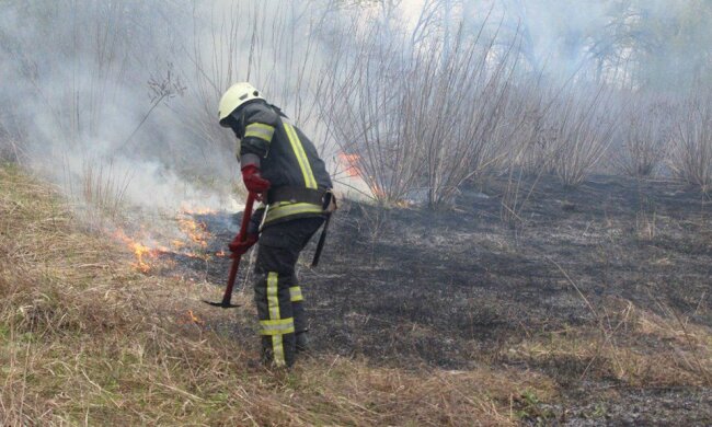 За добу пожежники столиці 10 разів гасили суху траву