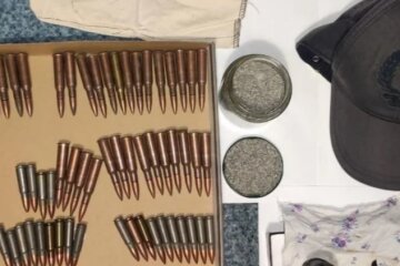 Збройний напад на сім’ю під Києвом: стали відомі мотиви стрілка, його заарештували на два місяці