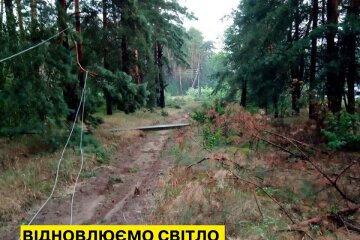 Гроза спричинила аварійні відключення на Київщині
