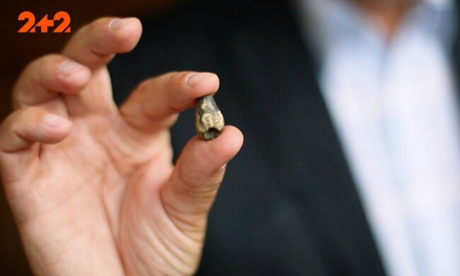 Революційна знахідка археологів: на території України відкопали рештки динозаврів