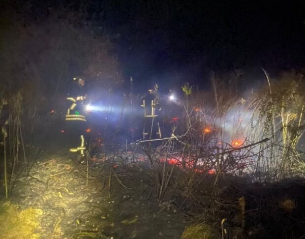 Внаслідок нічної атаки, виникла лісова пожежа. Постраждалих та влучань по інфраструктурі не допущено — КОВА