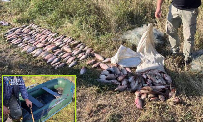 На понад 300 тисяч гривень - стало відомо про результат вилову бракон'єра на Київщині
