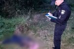 На Київщині виявили тіло чоловіка, що загинув від укусів шершнів