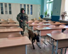 Вибухово-телефонний терор - правоохоронці перевірили чергову школу на Київщині, інформація не підтвердилась