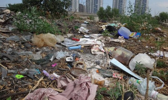 Як очистити 10 тис. га української землі, заваленої сміттям?