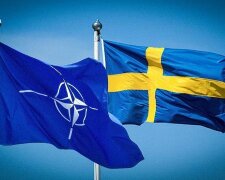 Фінляндія і Швеція готові приєднатися до НАТО, – Держдеп про заяву Ердогана
