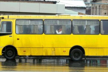 У столиці посилюють нагляд за приватними перевізниками: Департамент промисловості реагує на скарги киян щодо якості послуг