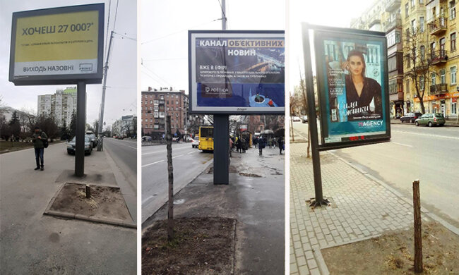 Дерева не вирубали! Рекламісти звинуватили Київзелендбуд у наклепі
