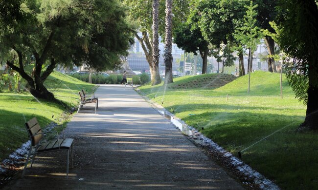 7 парків та 24 сквери оновили в столиці цього року