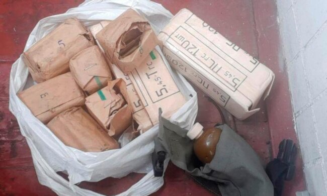 Вирішила прибрати на балконі та сильно здивувалась: у Києві пенсіонерка знайшла склад зброї