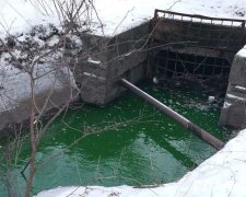 У річці посеред Києва вода стала ядучо-зеленою