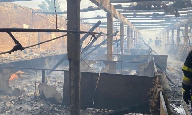 На фермі під Києвом сталась масштабна пожежа, згоріла худоба