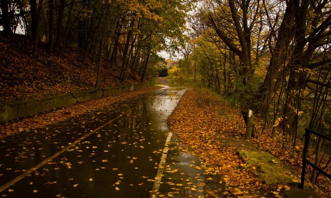 Осінь вступає в права: синоптики попередили про різке похолодання