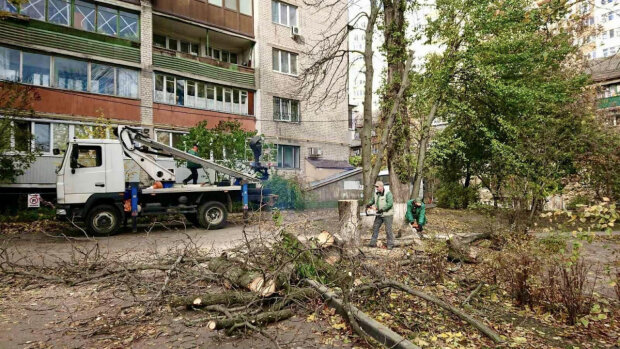 У Києві підрахували результати роботи "штормових Сил природи" 28-29 жовтня