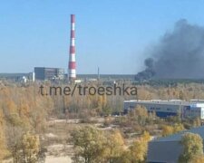 У лісовому парку “Берізка” в Києві сталась пожежа