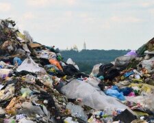 Як Київ боровся зі сміттям у лютому