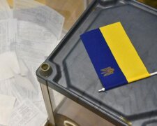 Дату оголошення результатів по 210 округу визначать після сьогоднішнього суду