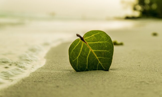 Купатися не можна: на 11 пляжах Києва знайшли кишкову паличку