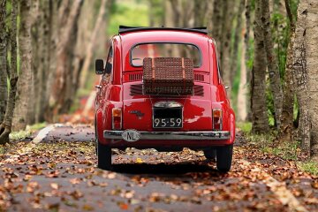 Штраф або громадські роботи: за які неправильні номери штрафуватимуть водіїв