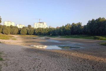 На Виноградарі розчистять і наповнять водою озеро Синє