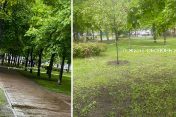 Біля скверу неподалік Оболонської РДА, в кущах знайшли мертву людину