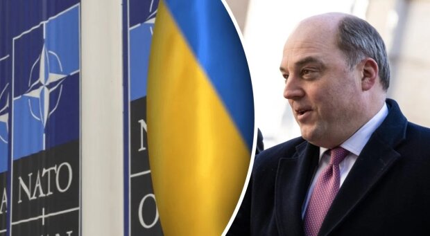 “Україна не приєднається до НАТО найближчим часом”: Воллес заявив про альтернативу