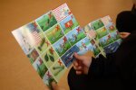 У Вишневому розпочали проєкт про мінну безпеку школярів Київщини за підтримки Посольства США