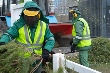 Кияни активно долучаються до екологічної ініціативи, здаючи використані святкові дерева у спеціалізовані міські локації.