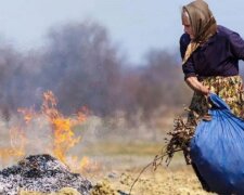 У Києві штрафуватимуть спалювачів опалого листя: названо суми