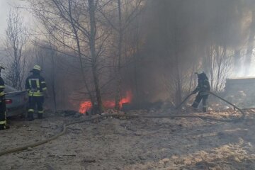 Через підпали трави та сміття в Києві та області за добу сталось більше 60 пожеж