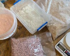 Наркотики у вазонах: на Київщині та Рівненщині накрили мережу з товаром на 20 млн грн