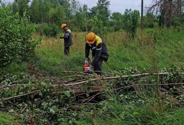 Через негоду на Київщині понад 100 населених пунктів залишилися без електропостачання