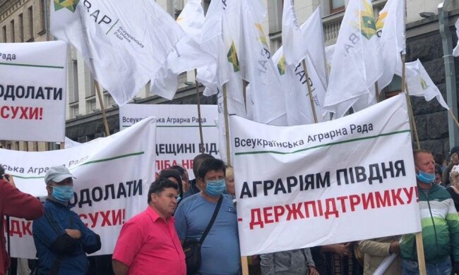 Мітинг під Кабміном: фермери вимагають від можновладців компенсації втрат урожаю (наживо)