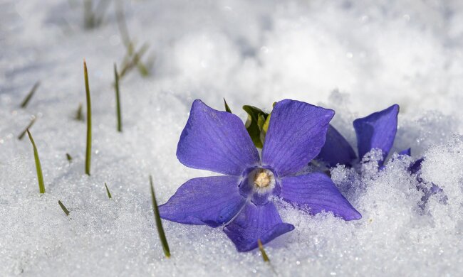 В Києві тиждень штормитиме: заморозки, дощ зі снігом, сильний вітер