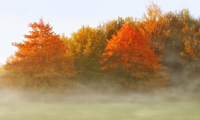 Похолодання накриє всю Україну, але не надовго: прогноз синоптика